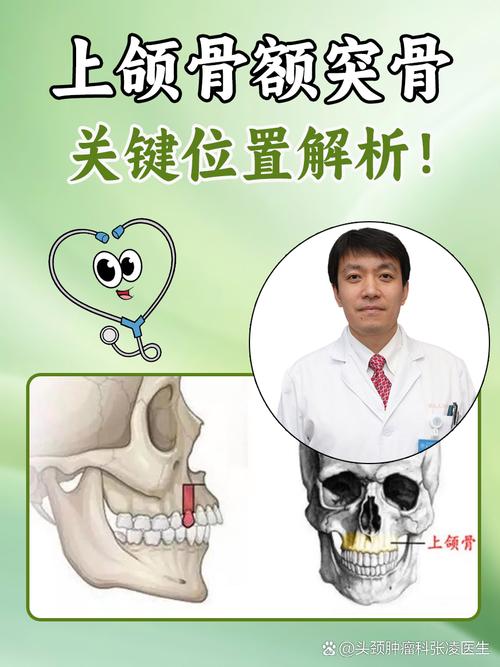 口腔正畸颅颌面课件-图2