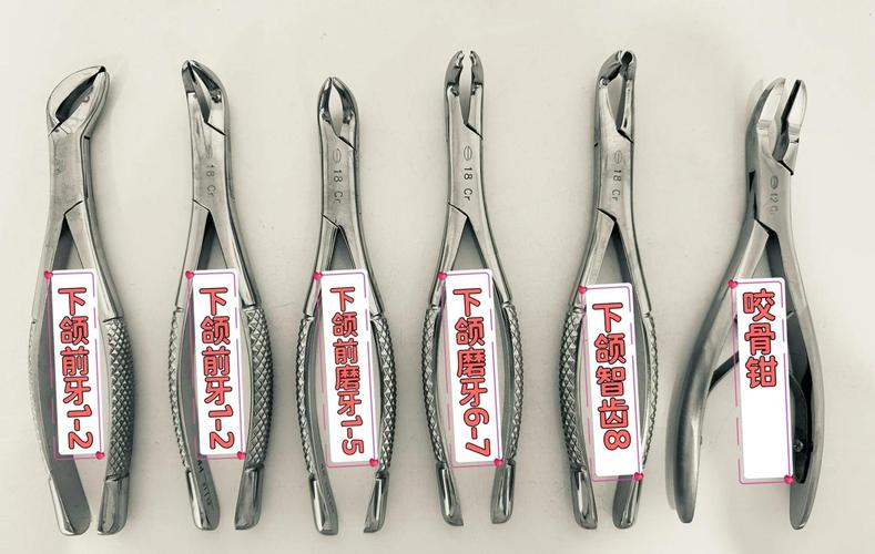 杭州新亚正畸专用钳如何助力精准正畸操作？-图3