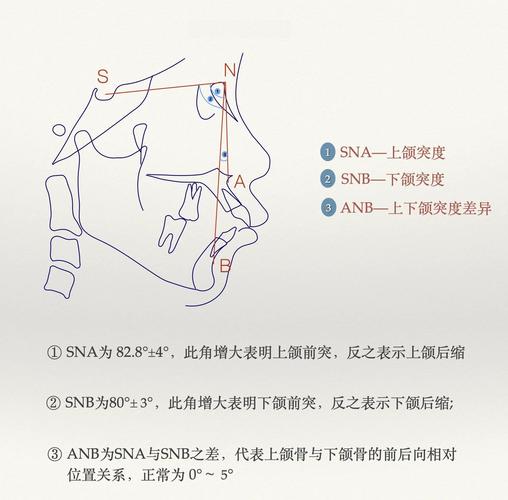 正畸anb角的正常值范围是多少？-图3