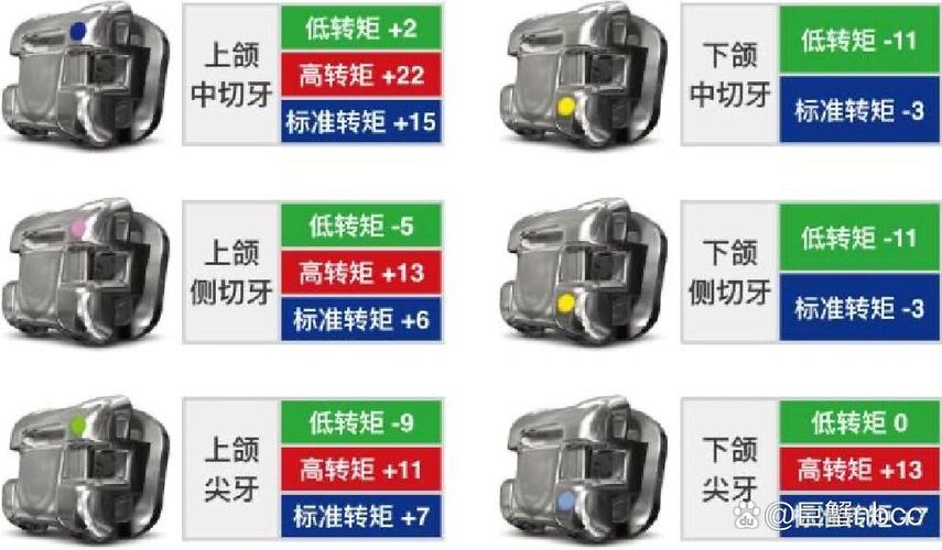 牙齿正畸转矩的概念-图1