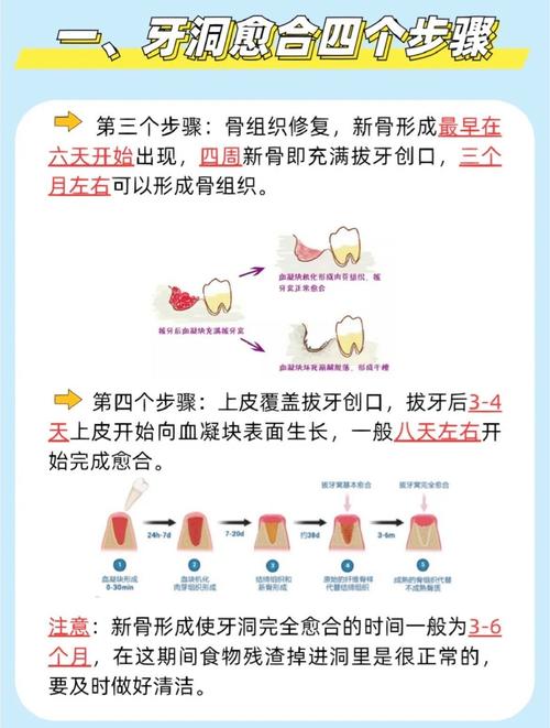 正畸拔牙后，拔掉的牙齿到底能有什么用？-图2
