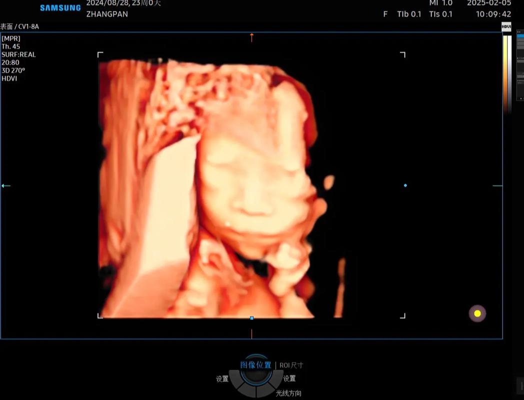 许天民著四维正畸-图3 许天民著四维正畸-图3