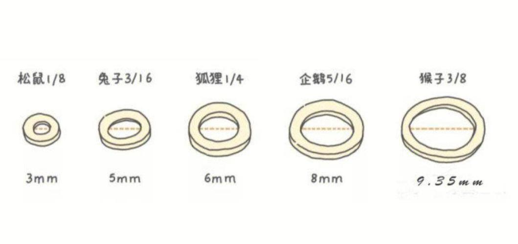 正畸橡皮圈用大了-图2 正畸橡皮圈用大了-图2