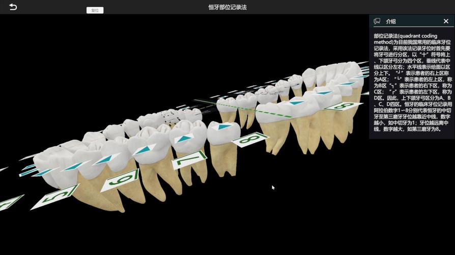 正畸3d模拟软件-图1 正畸3d模拟软件-图1