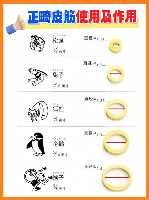 正畸弹力圈保质期-图1