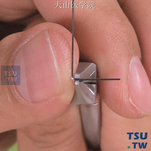 正畸t型曲怎么弯-图2