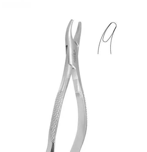 口腔正畸钳拔牙钳-图2