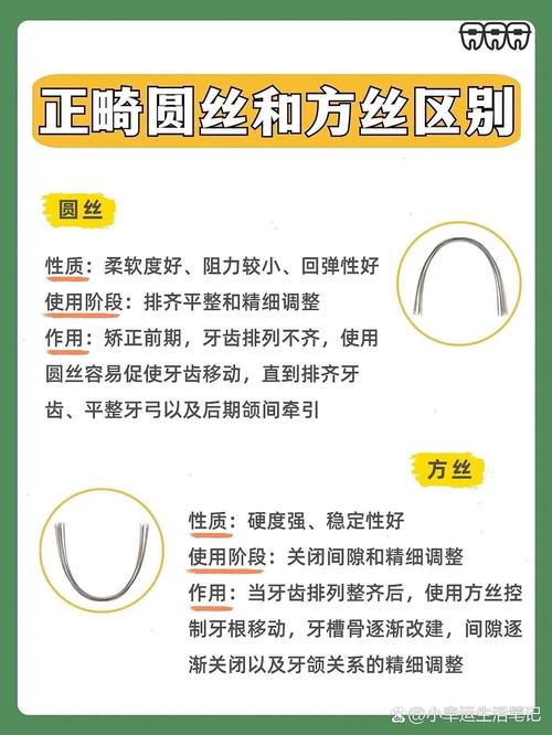 正畸澳丝属于什么-图3