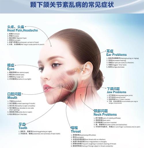 正畸对关节的压力-图2
