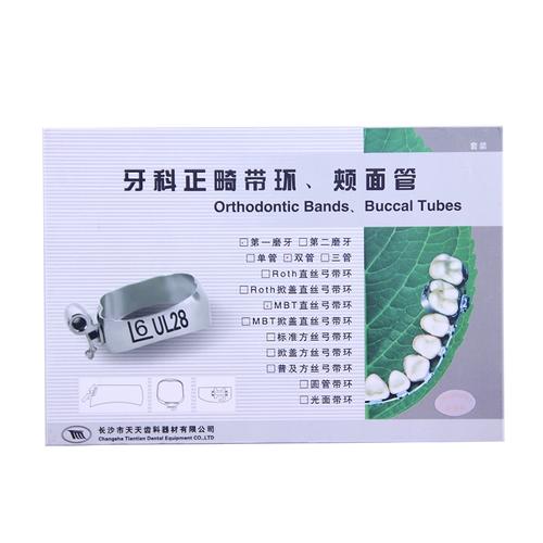 口腔正畸带环区分-图3