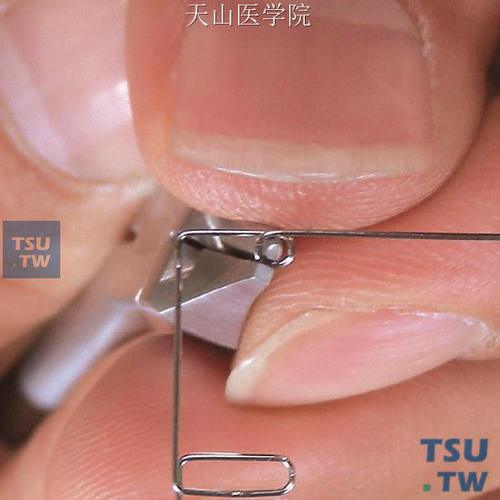 正畸弓丝弯曲制作-图2