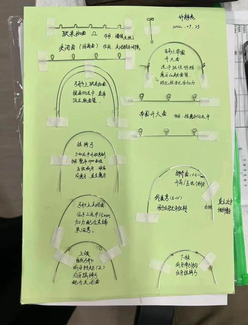 正畸弓丝转矩度数如何精准选择以实现牙齿理想移动?-图1 正畸弓丝转矩度数如何精准选择以实现牙齿理想移动?-图1