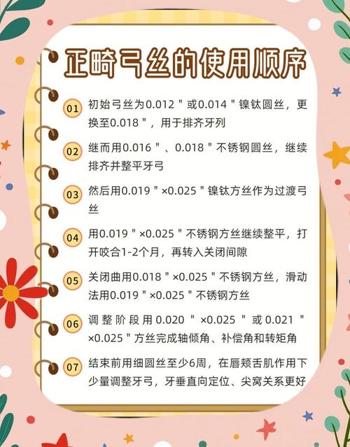 正畸弓丝型号大全-图2