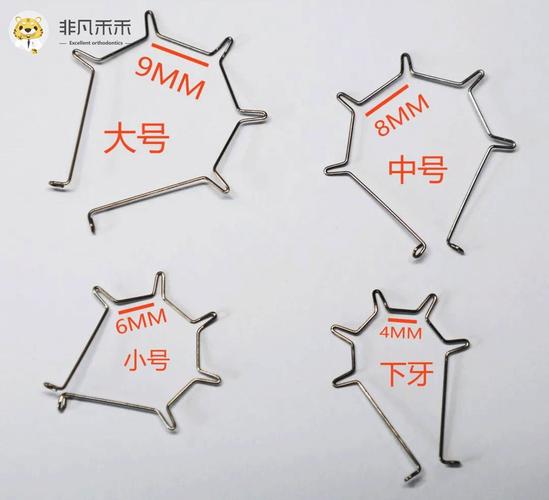 正畸推簧拉簧在牙齿矫正中具体起什么作用？-图3