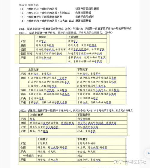 口腔正畸专业总结-图2