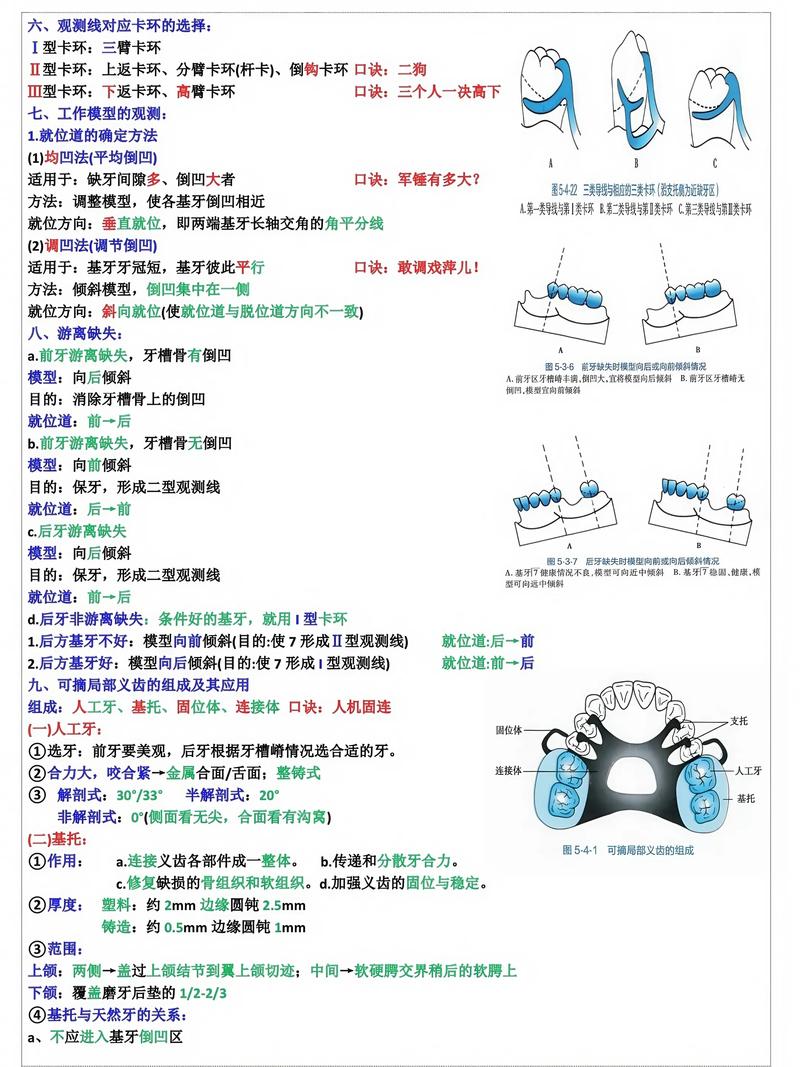 正畸带环常用规格-图3