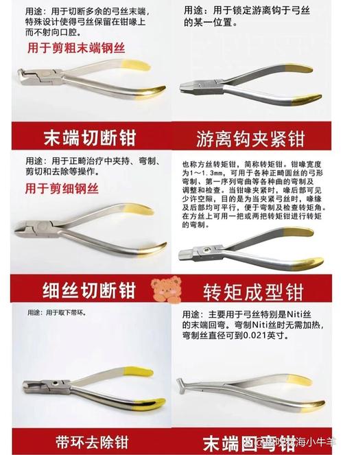 正畸钳001型号-图1