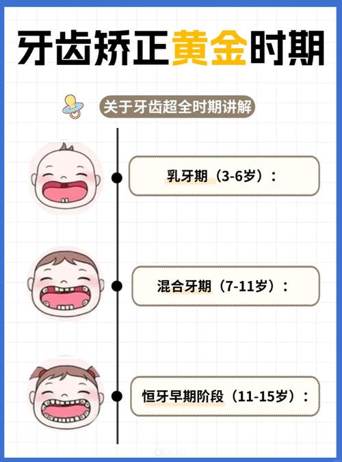 磨牙 正畸 年龄-图2