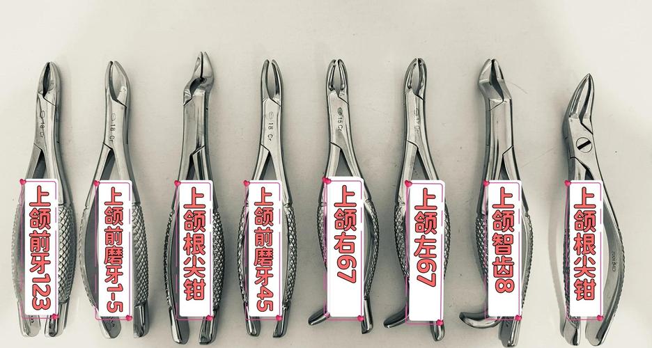 口腔正畸器械图解-图3