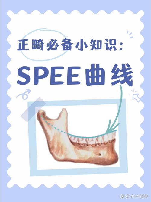 正畸spee曲线-图1