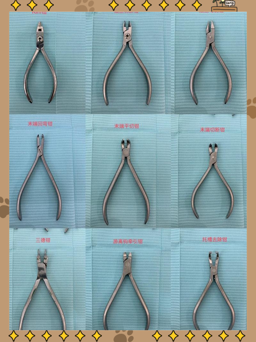 正畸要准备的东西-图1