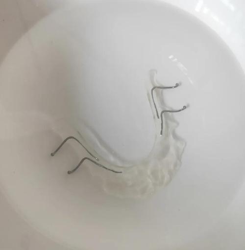 正畸固定式平导-图1