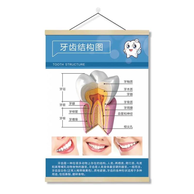 牙齿矫正该挂口腔科吗？挂号指南在此-图1