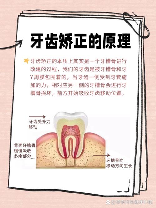矫正牙齿会掉牙早吗?-图2 矫正牙齿会掉牙早吗?-图2