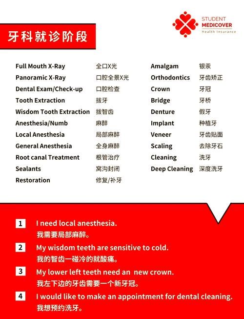 牙齿矫正英语怎么说-图1