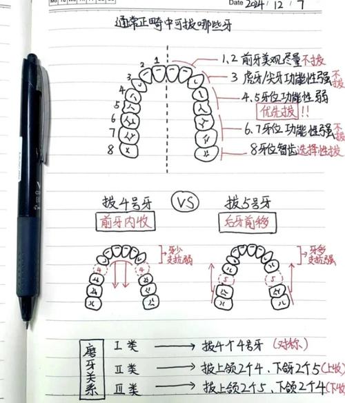 拔牙矫正牙齿的原理是什么？为何要通过拔牙矫正？-图1