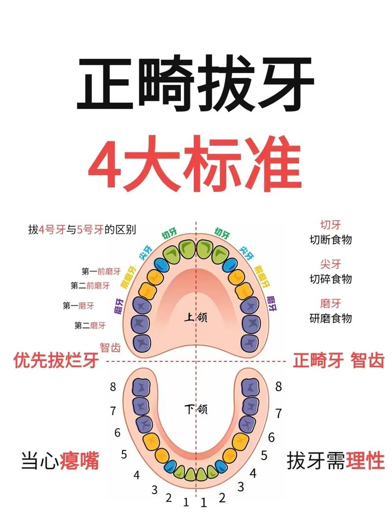 拔牙矫正牙齿的原理是什么？为何要通过拔牙矫正？-图3